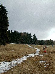 57.jpg (15370 bytes)